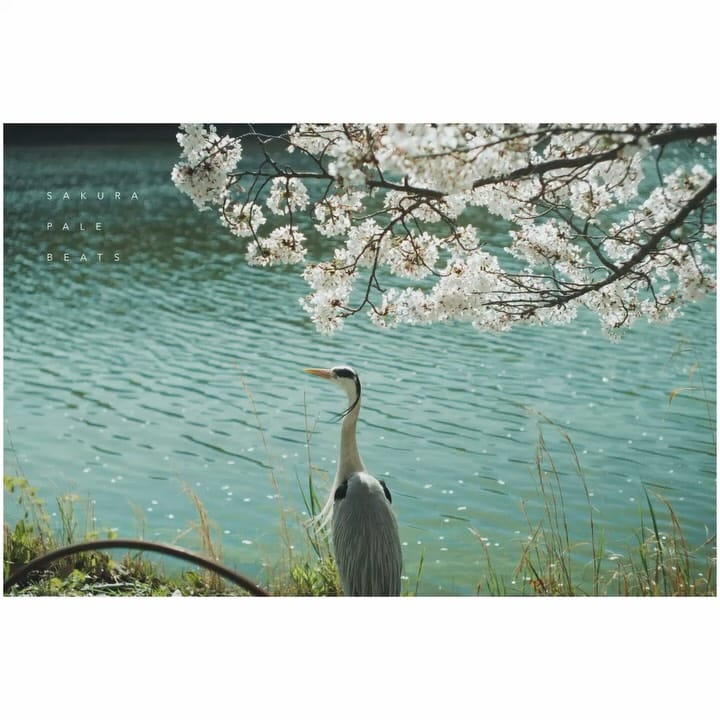 Post 6 by Masato Yanagida on Instagram (carousel)