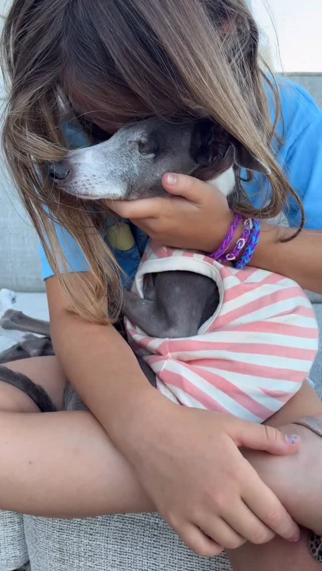 Post 6 by Emma | Blind Italian Greyhound Greenville SC on Instagram (video)