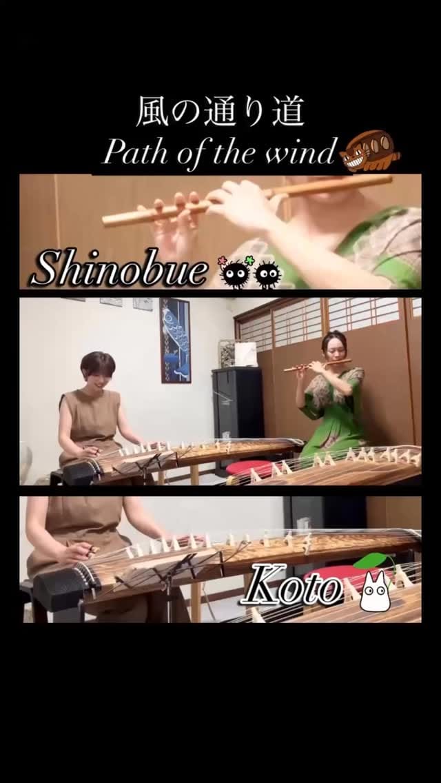 Post 7 by 箏奏者 礼奈​/Rena on Instagram (video)