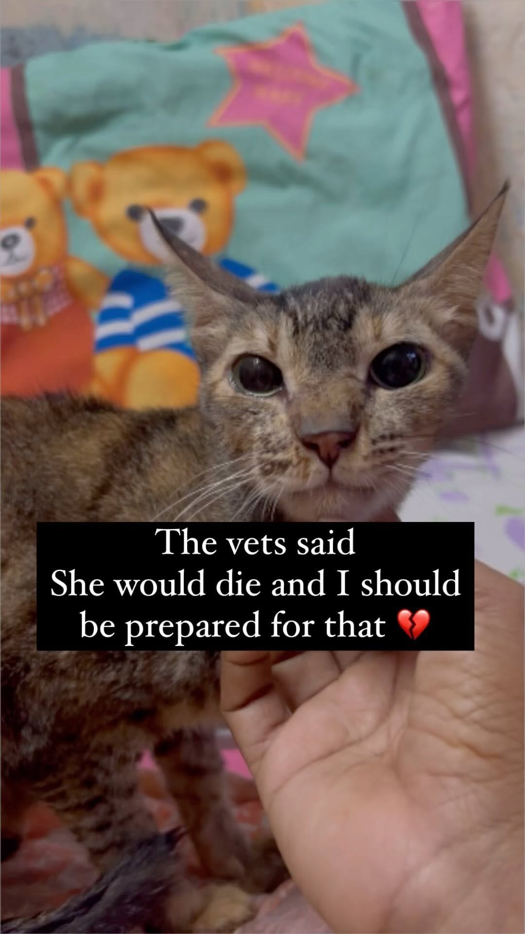 Post 10 by Aruna & Neha on Instagram (video)
