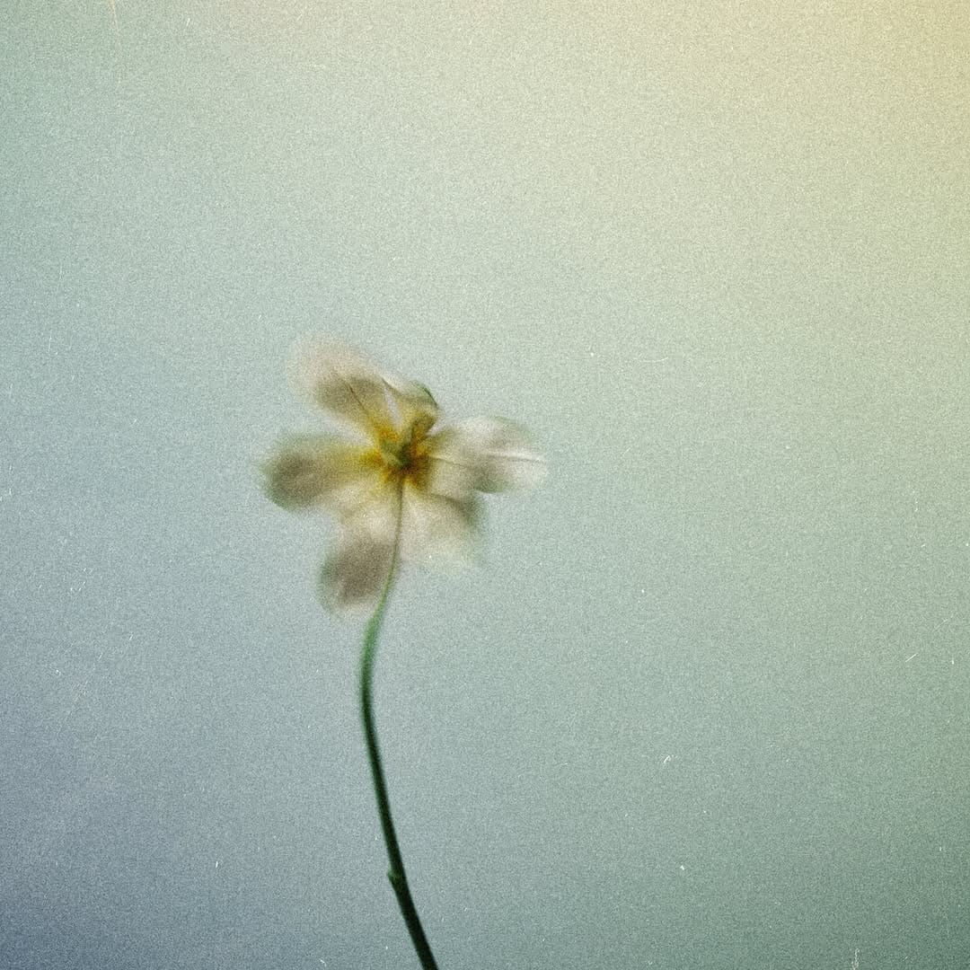Post 2 by Nao Yoshioka on Instagram (carousel)