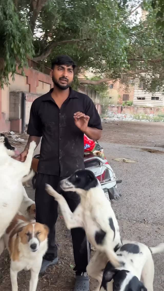 Post 7 by The dog lover manish on Instagram (video)