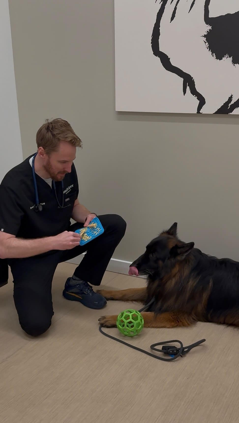 Post 4 by Small Door Veterinary on Instagram (video)