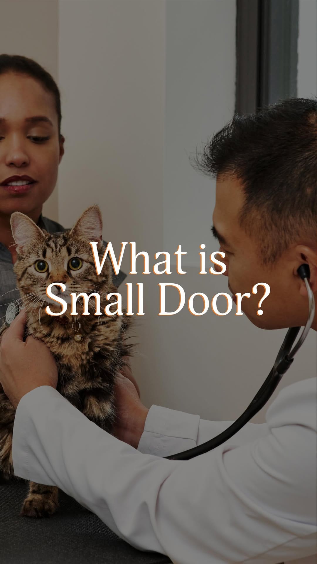 Post 10 by Small Door Veterinary on Instagram (video)