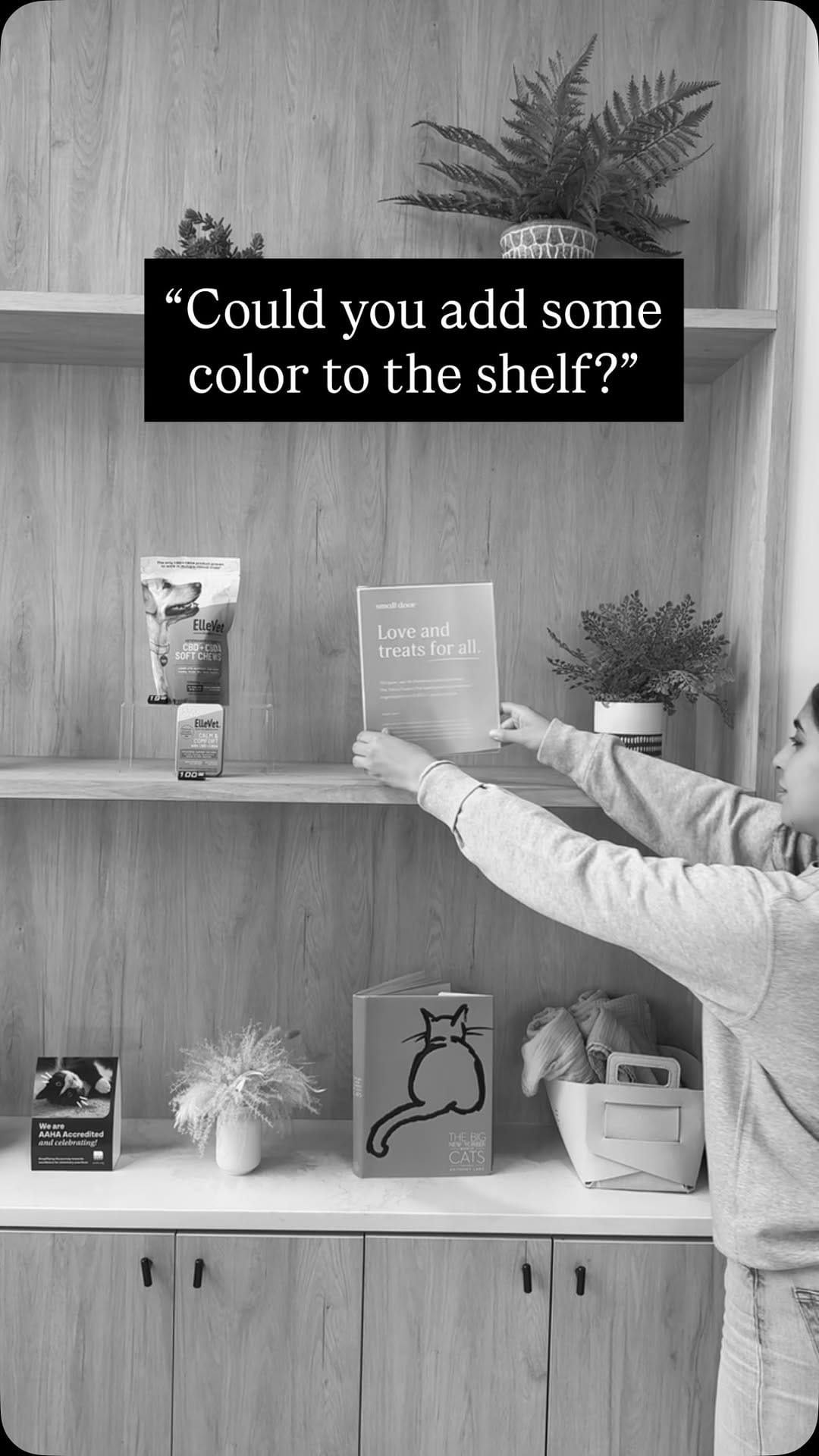 Post 7 by Small Door Veterinary on Instagram (video)