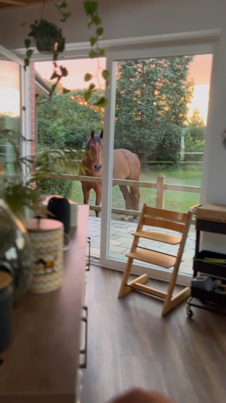Post 9 by Katharina Freytag on Instagram (video)