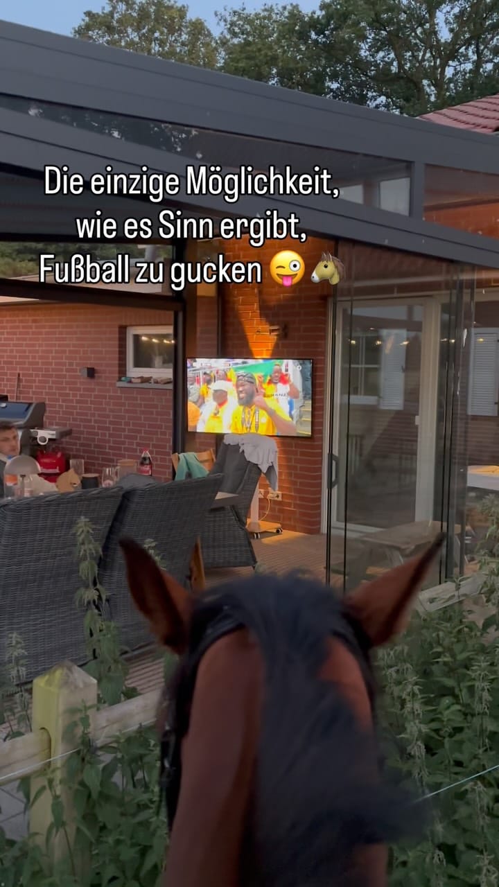 Post 2 by Katharina Freytag on Instagram (video)