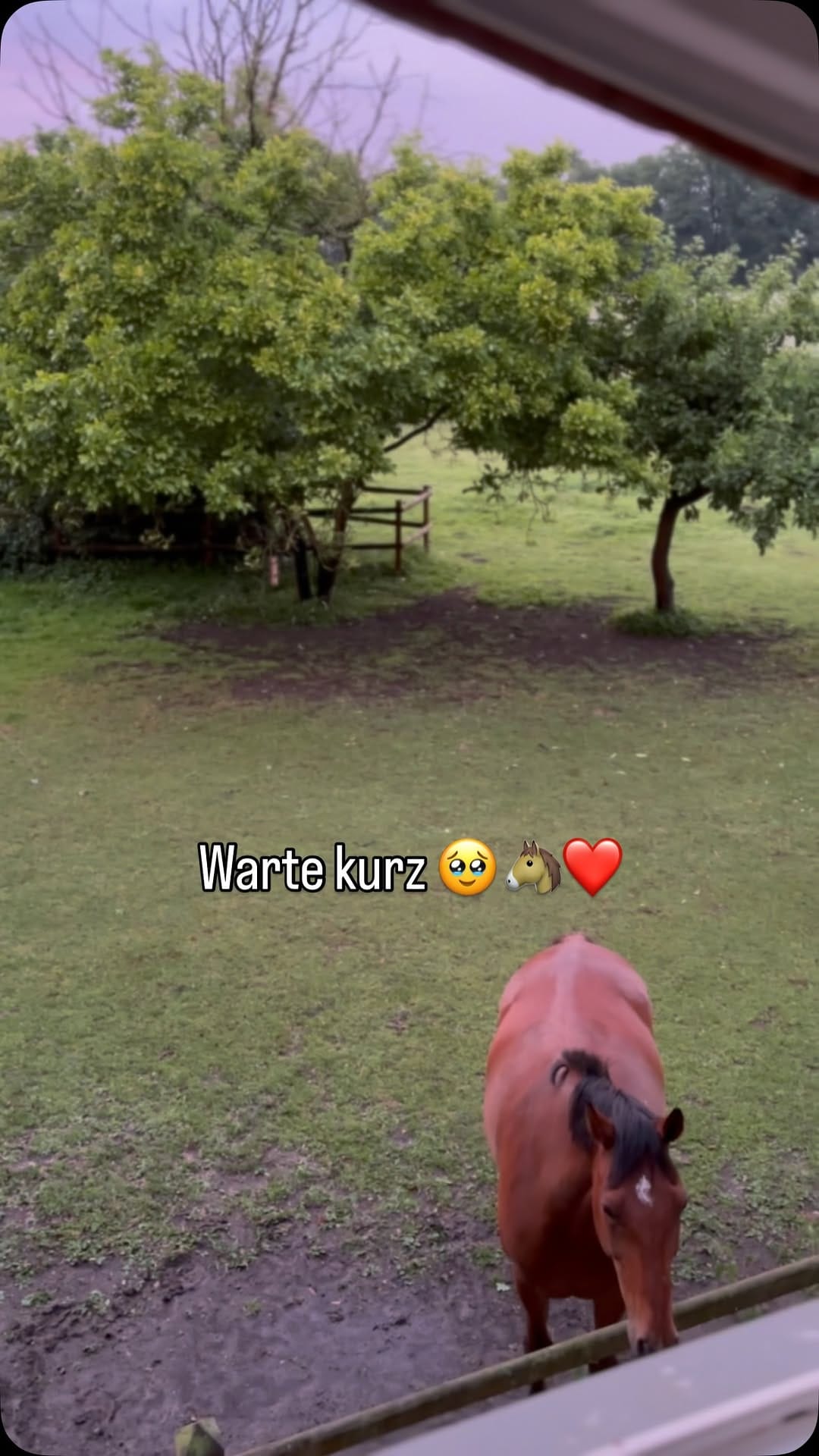 Post 6 by Katharina Freytag on Instagram (video)