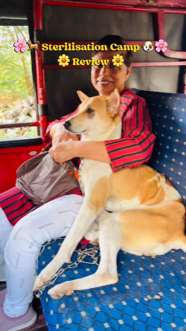 Post 9 by Animal Helpline Shelter on Instagram (video)