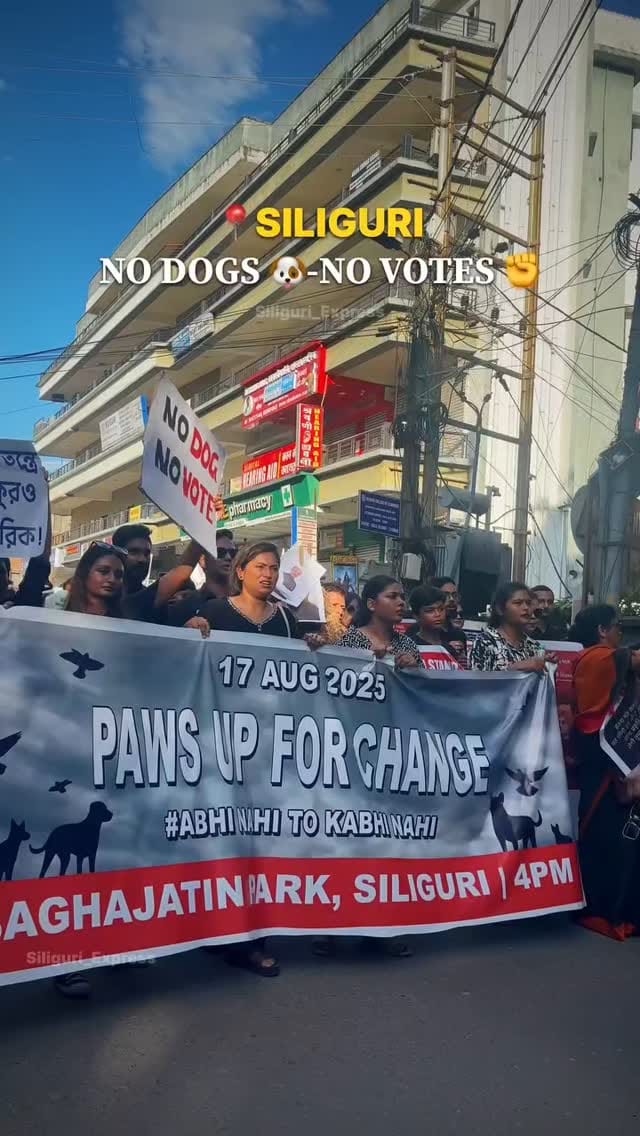 Post 10 by Animal Helpline Shelter on Instagram (video)