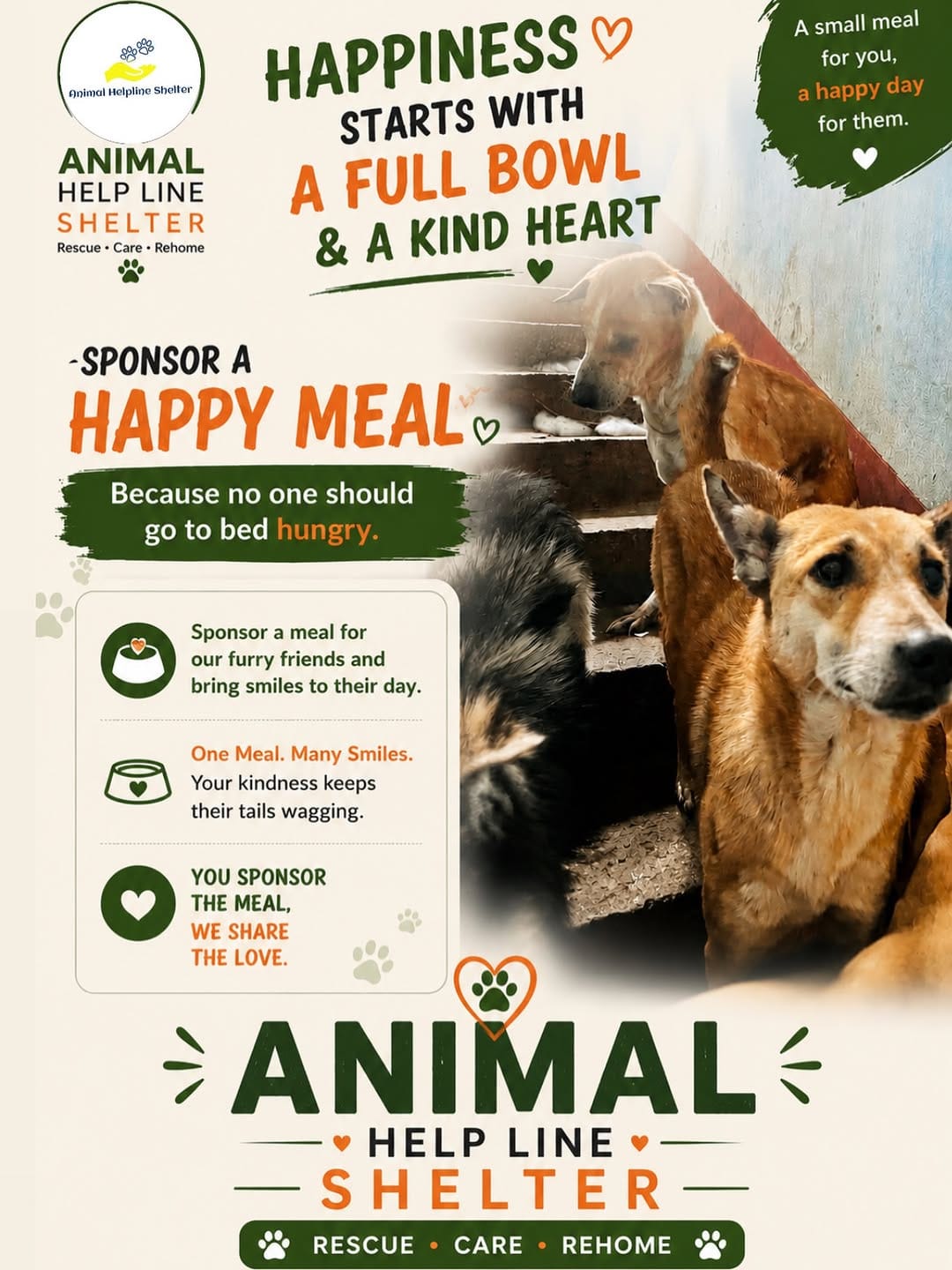 Post 7 by Animal Helpline Shelter on Instagram (image)