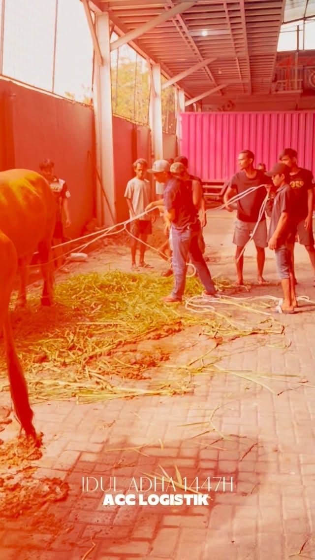 Post 5 by ACC LOGISTIK on Instagram (video)