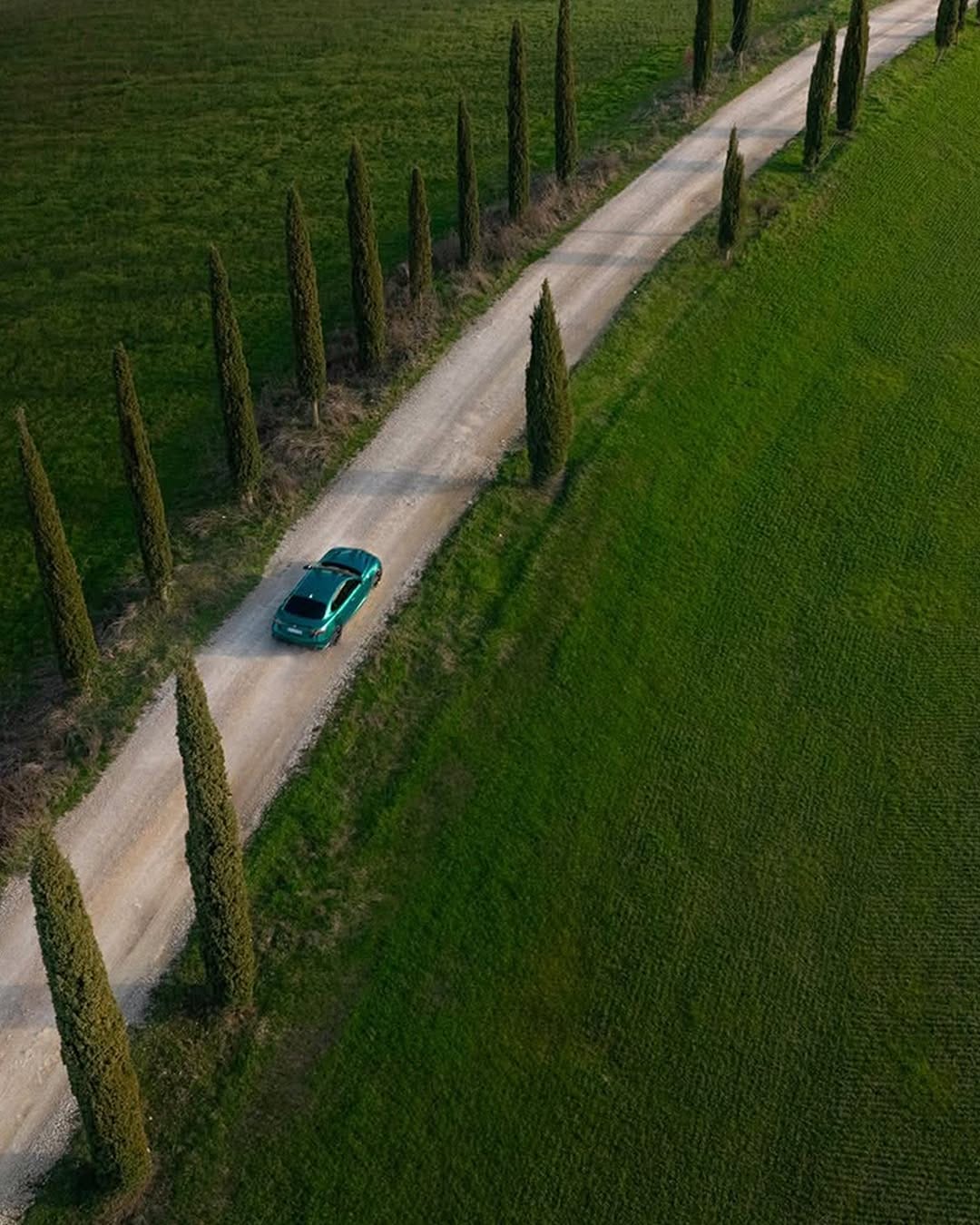 Post 2 by Alfa Romeo Azerbaijan on Instagram (image)