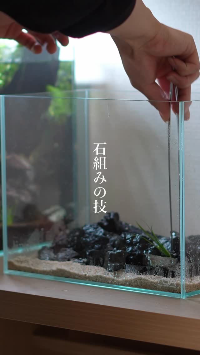 Post 8 by The Scaper’s Room on Instagram (video)