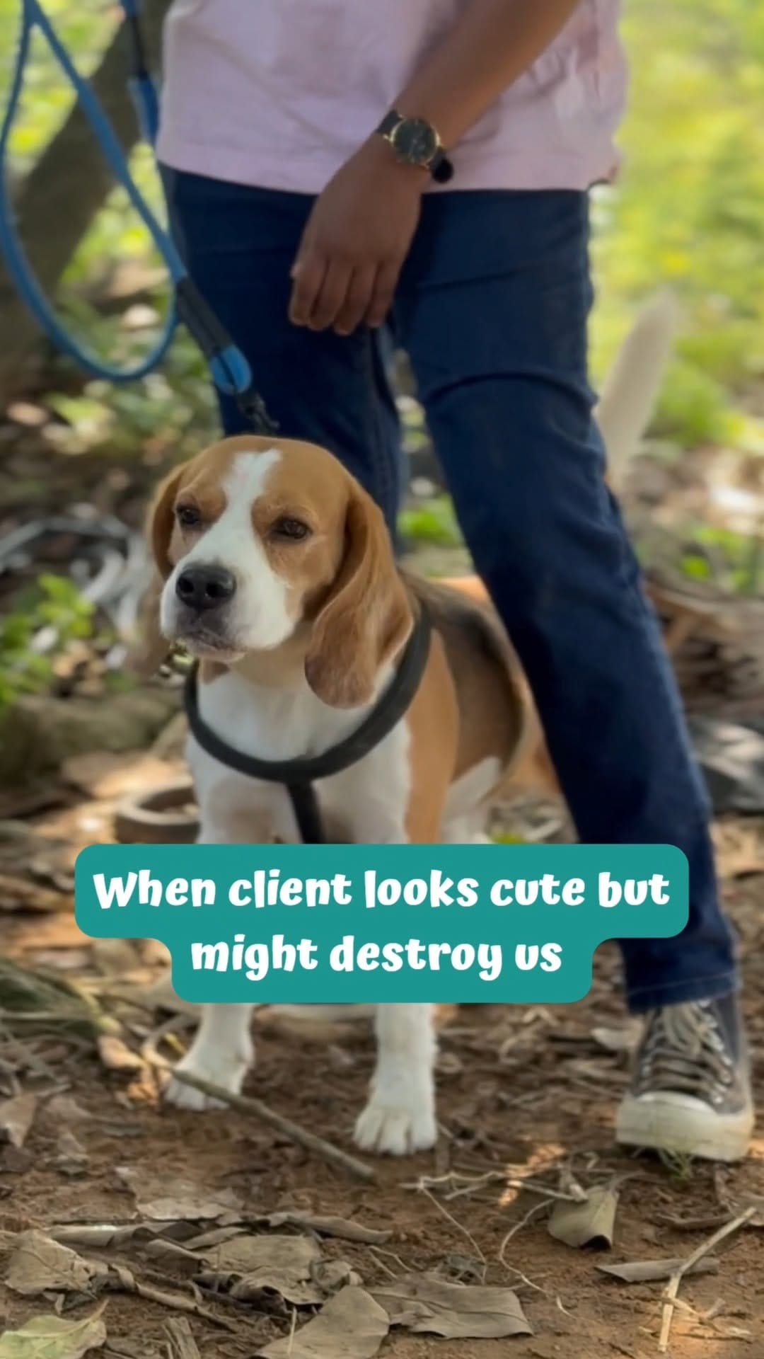 Post 9 by Cessna Lifeline Vet Hospital on Instagram (video)