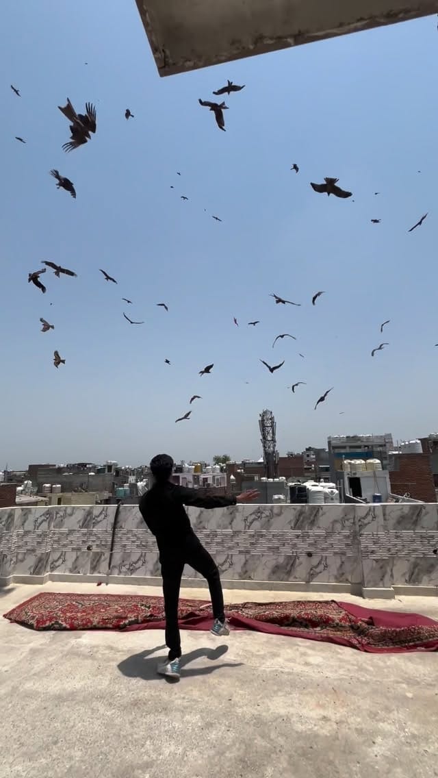 Post 4 by PETS MAN on Instagram (video)
