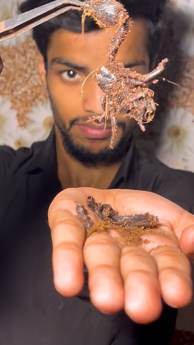 Post 3 by PETS MAN on Instagram (video)