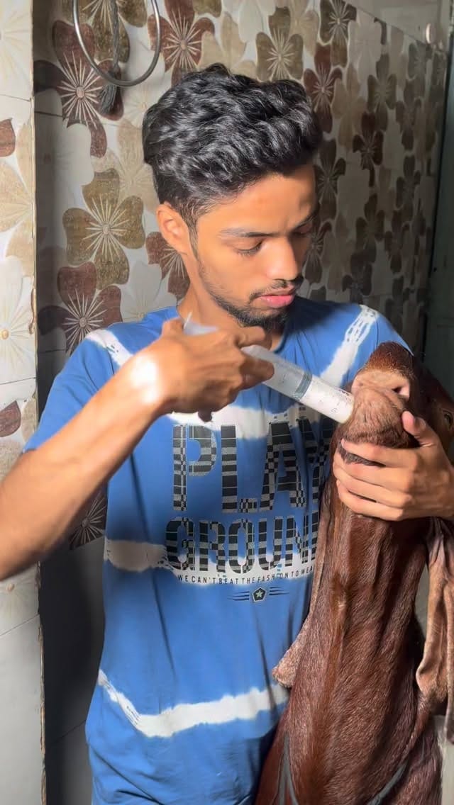 Post 1 by PETS MAN on Instagram (video)
