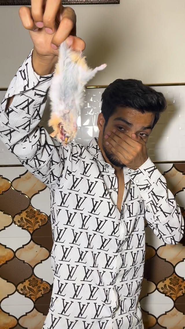 Post 8 by PETS MAN on Instagram (video)