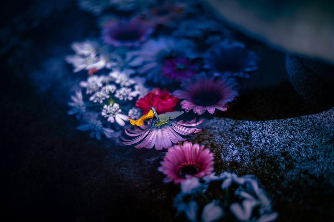 Post 4 by 岡田充弘 | ATSUHIRO OKADA on Instagram (image)