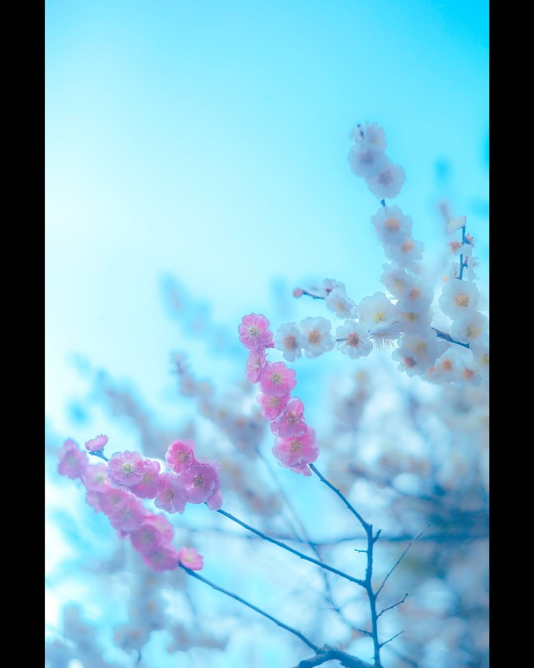 Post 9 by 岡田充弘 | ATSUHIRO OKADA on Instagram (image)