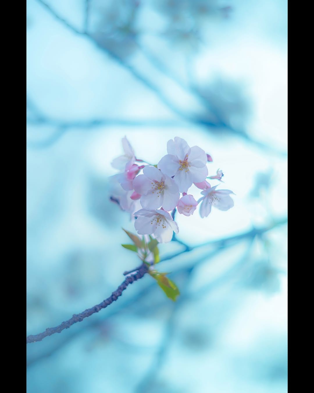 Post 7 by 岡田充弘 | ATSUHIRO OKADA on Instagram (image)