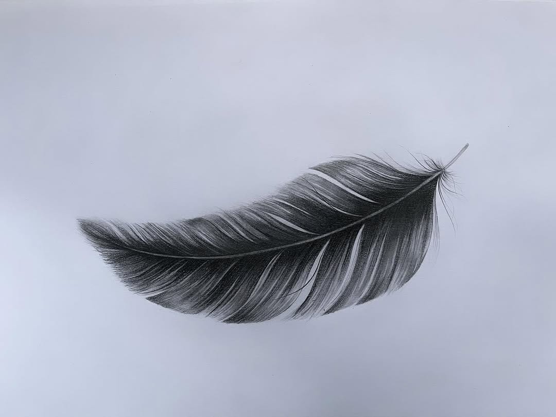 Post 8 by Tierzeichnungen - Jana Fecher on Instagram (image)