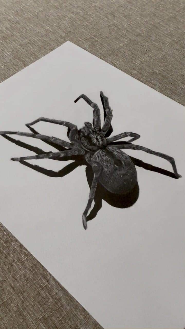 Post 6 by Tierzeichnungen - Jana Fecher on Instagram (video)