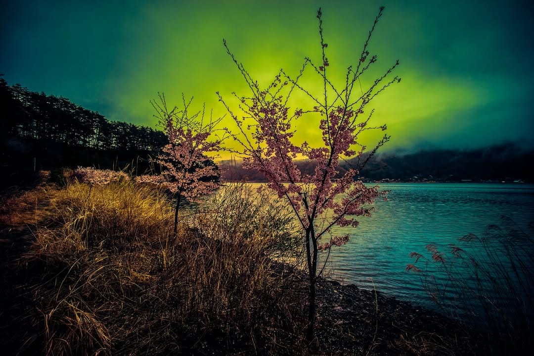 Post 5 by 岡田充弘 | ATSUHIRO OKADA on Instagram (image)