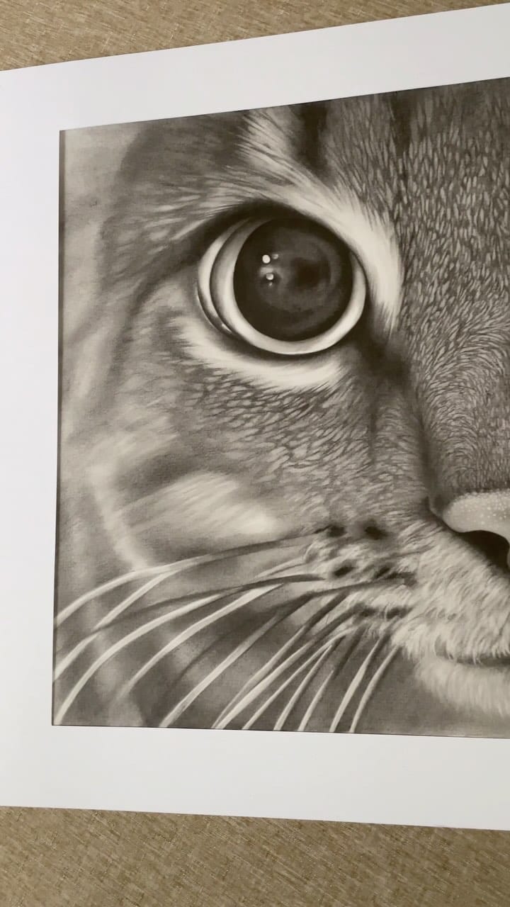 Post 5 by Tierzeichnungen - Jana Fecher on Instagram (video)