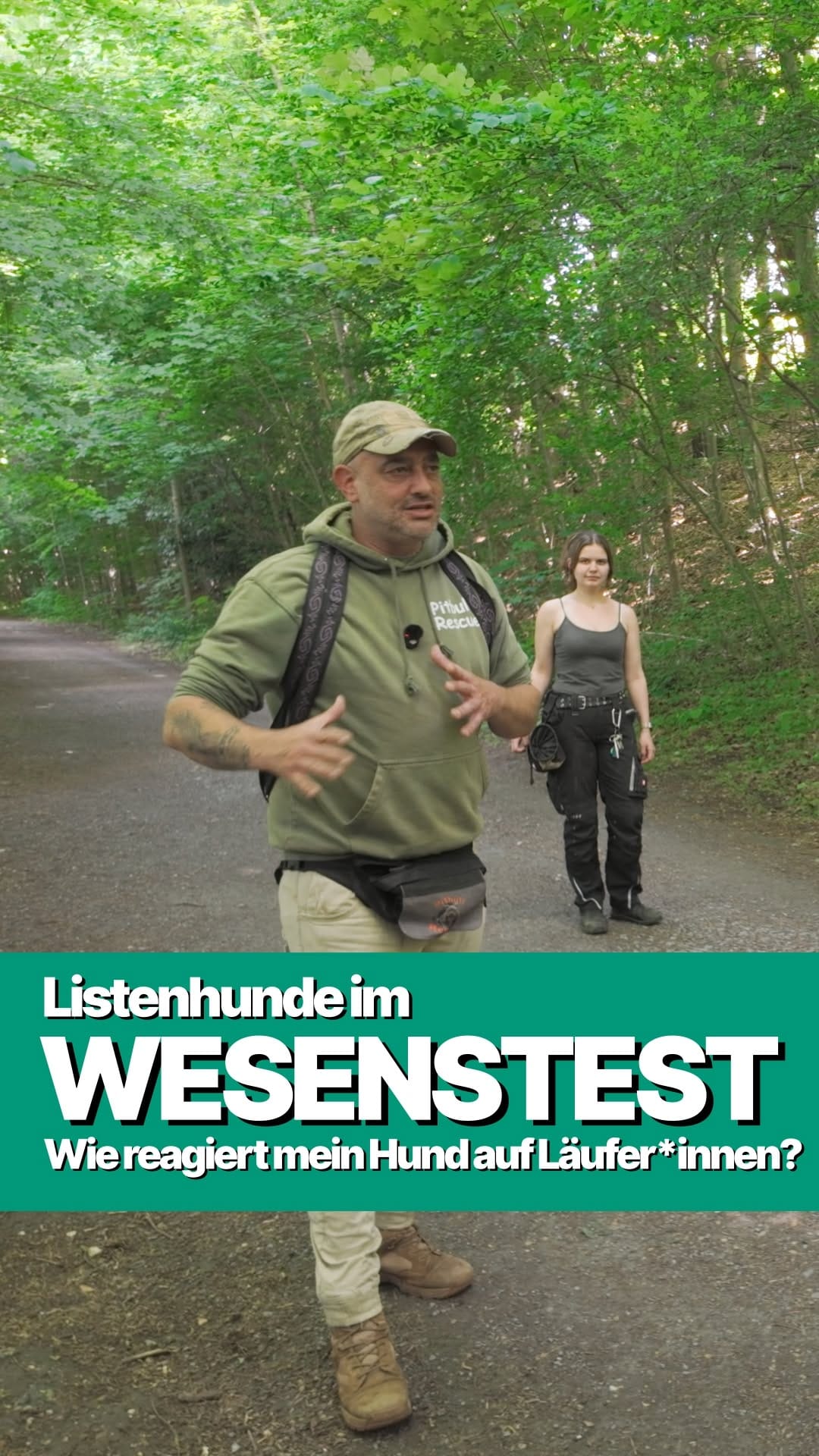 Post 6 by Tierheim Düsseldorf - hautnah on Instagram (video)