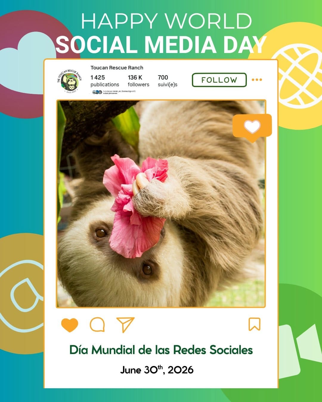 Post 9 by Toucan Rescue Ranch on Instagram (image)