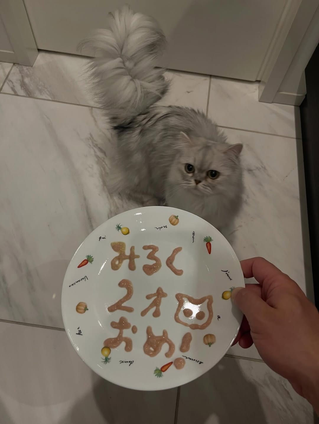 Post 2 by 🐈ラテみるく🐈🇯🇵 on Instagram (carousel)