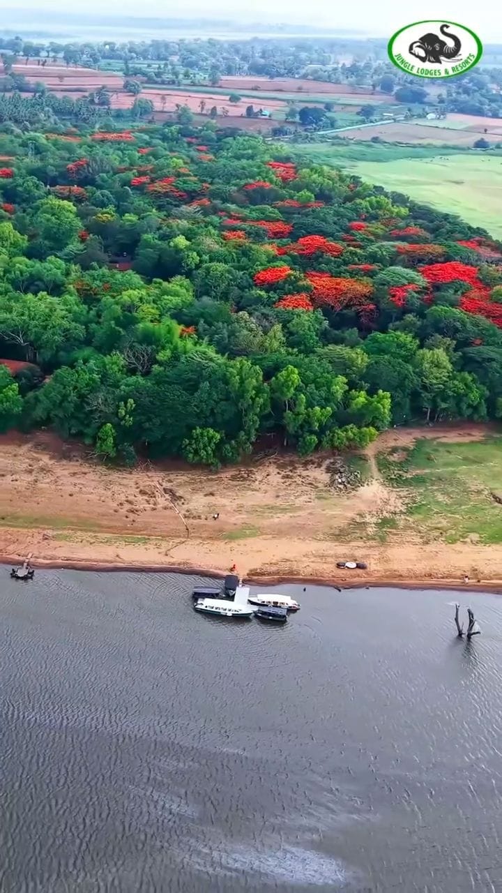 Post 1 by Kim Aswani on Instagram (video)