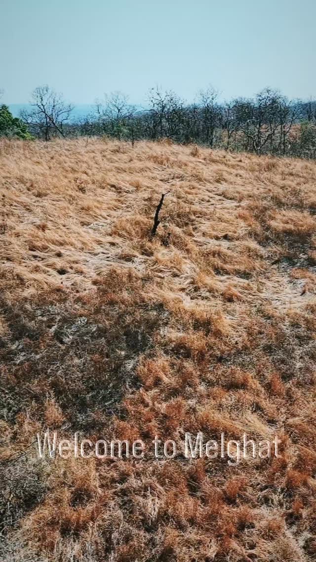 Post 9 by Kim Aswani on Instagram (video)