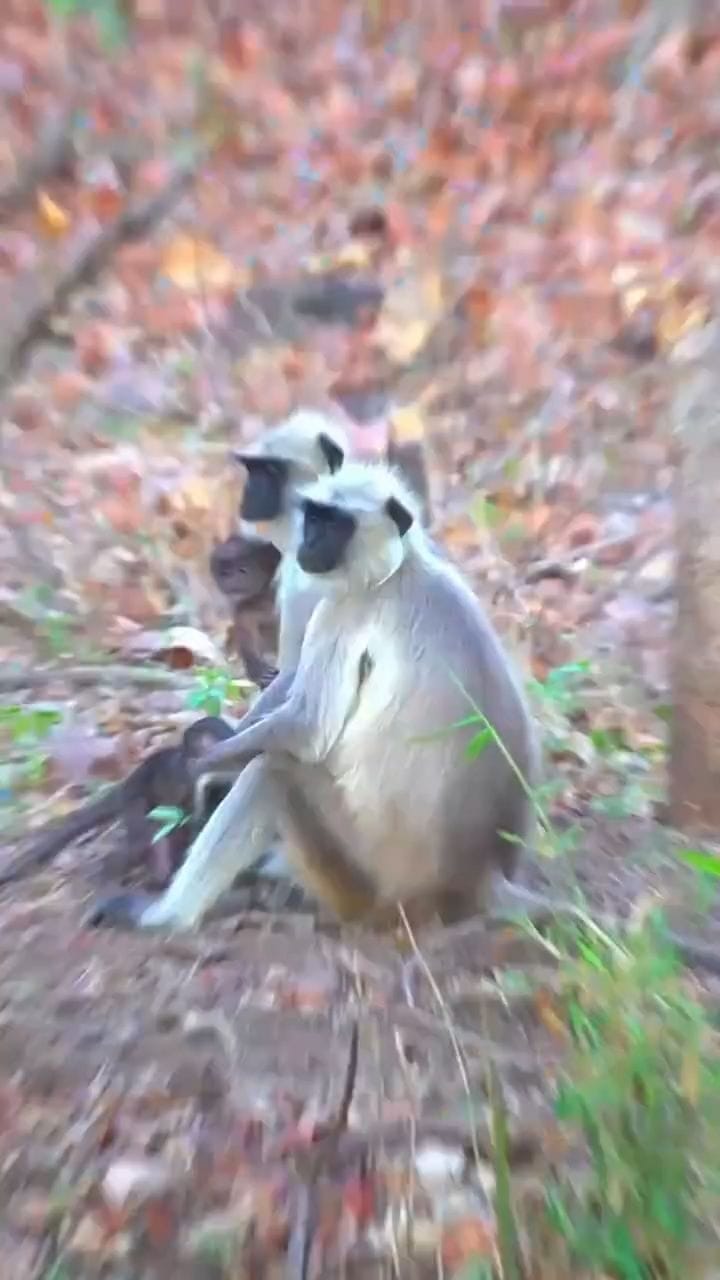 Post 8 by Kim Aswani on Instagram (video)
