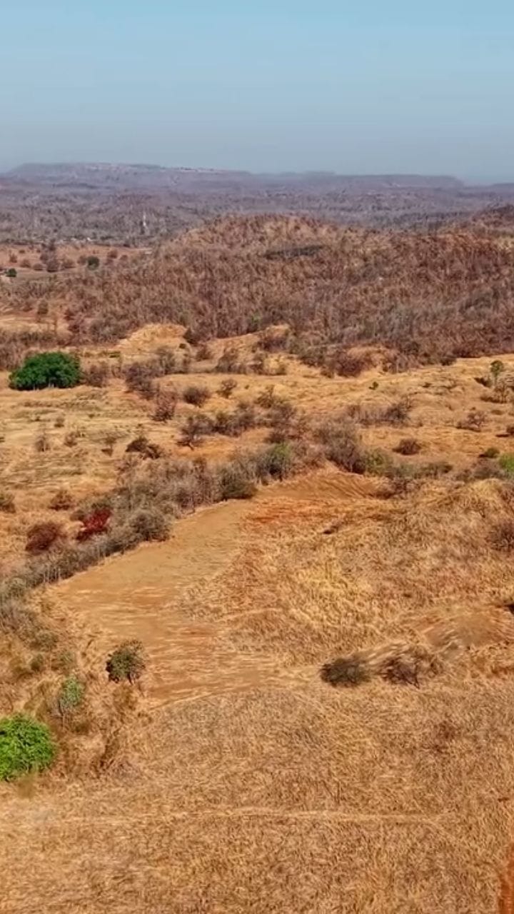 Post 6 by Kim Aswani on Instagram (video)