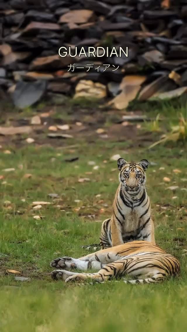Post 8 by Yash Chopda on Instagram (video)