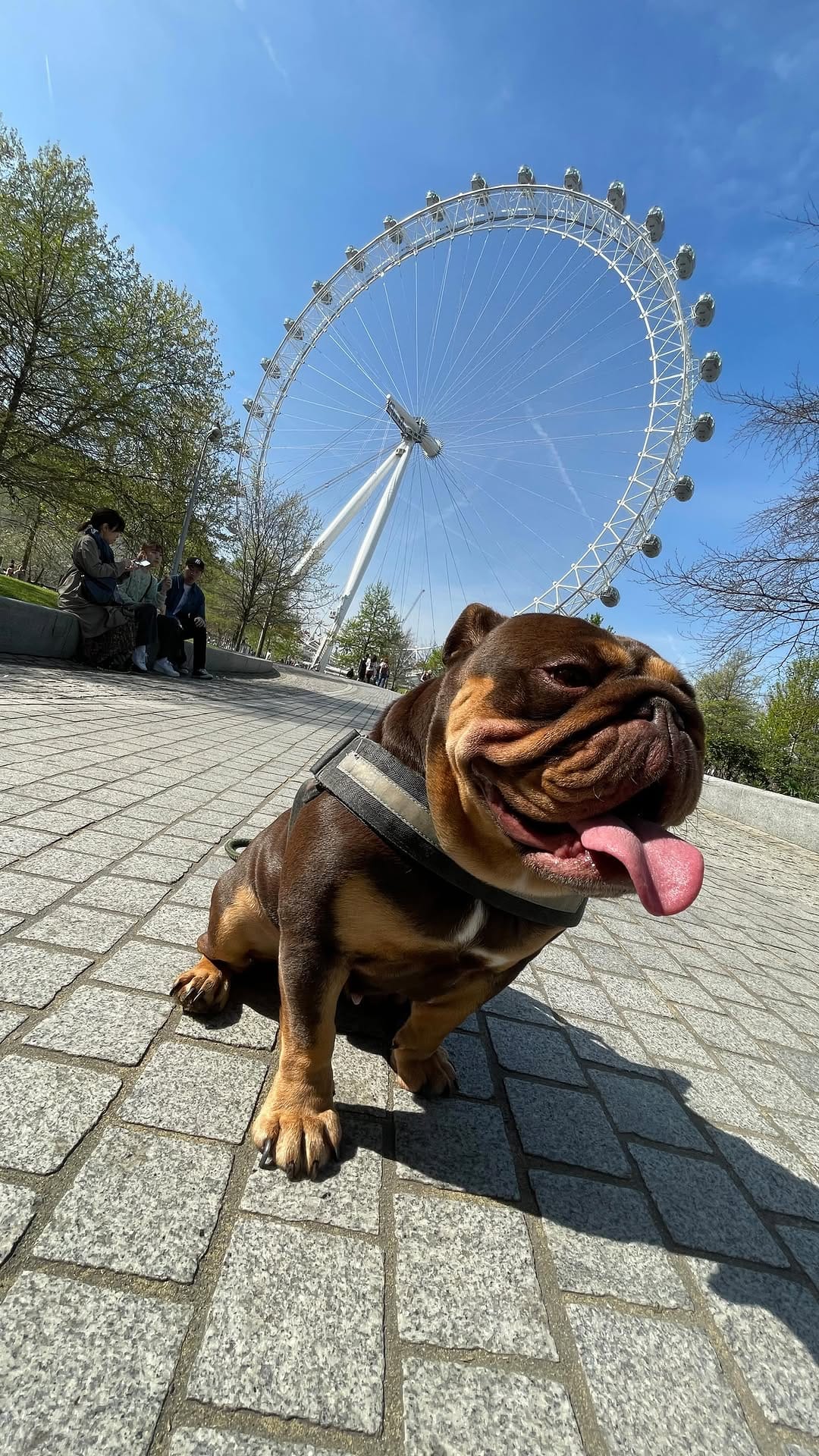 Post 8 by James | 📸 London Photographer on Instagram (video)