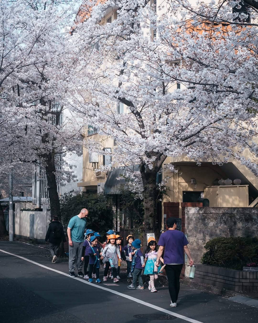 Post 9 by Hisataka🇯🇵 on Instagram (carousel)