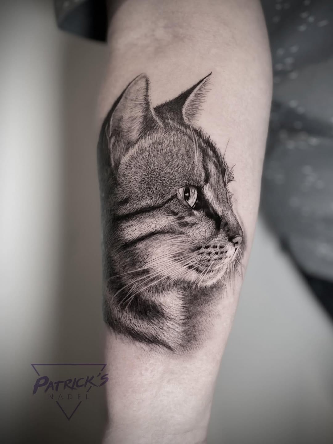 Post 3 by 𝗣atricks Nadel on Instagram (image)
