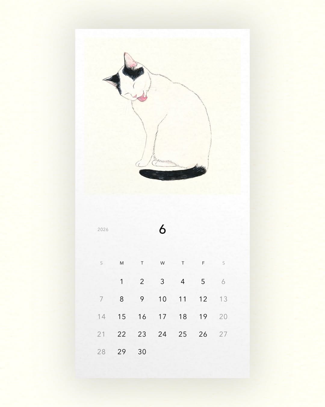 Post 5 by イデタカコ Takako Ide on Instagram (carousel)