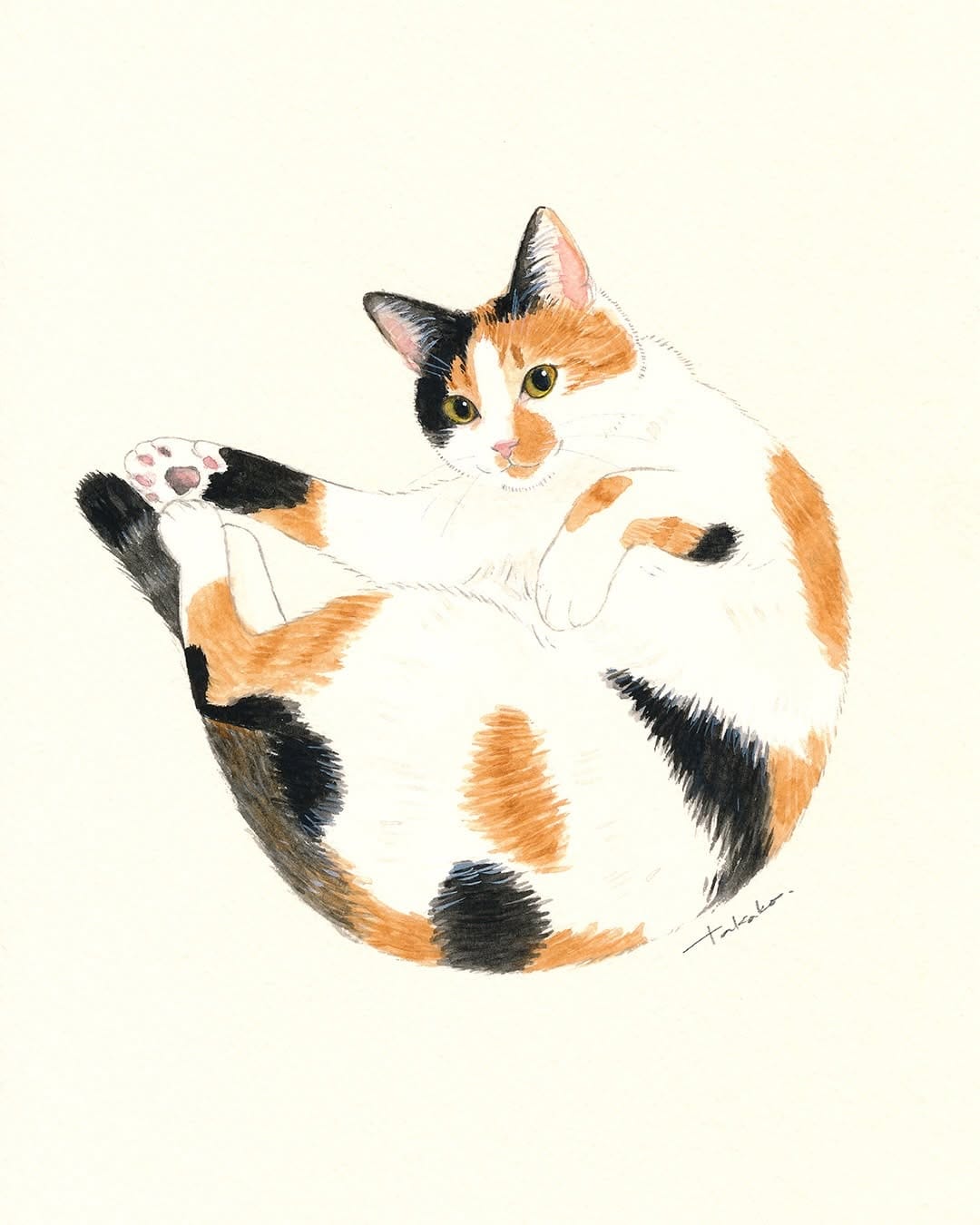 Post 8 by イデタカコ Takako Ide on Instagram (carousel)