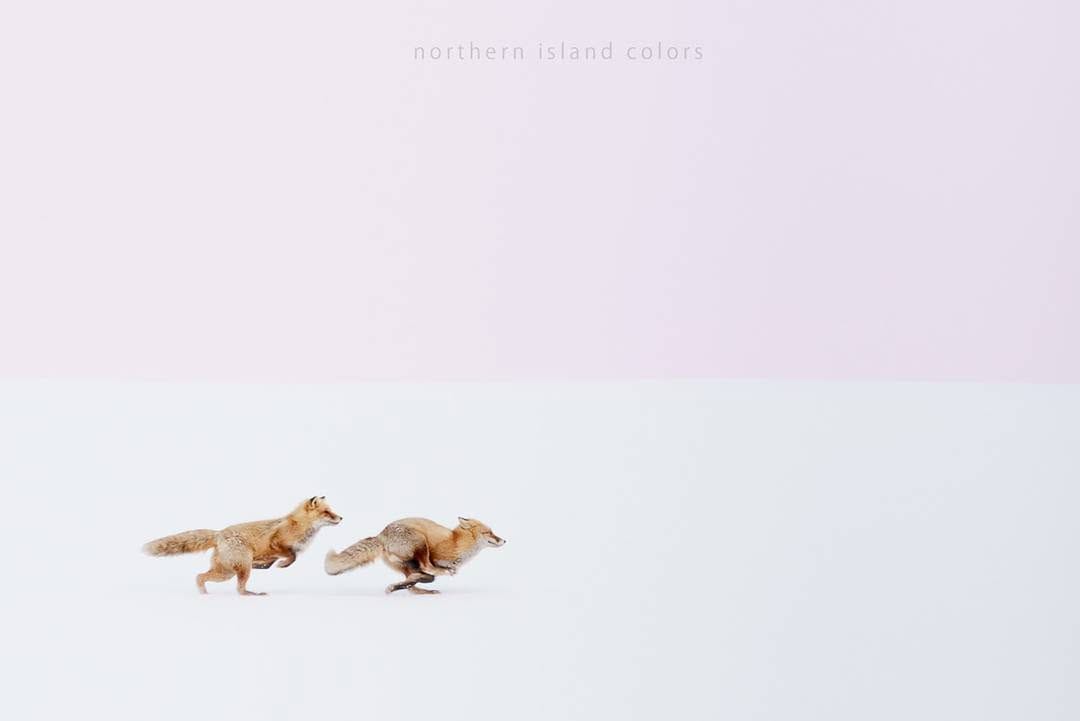 Post 10 by Hiroki INOUE on Instagram (image)