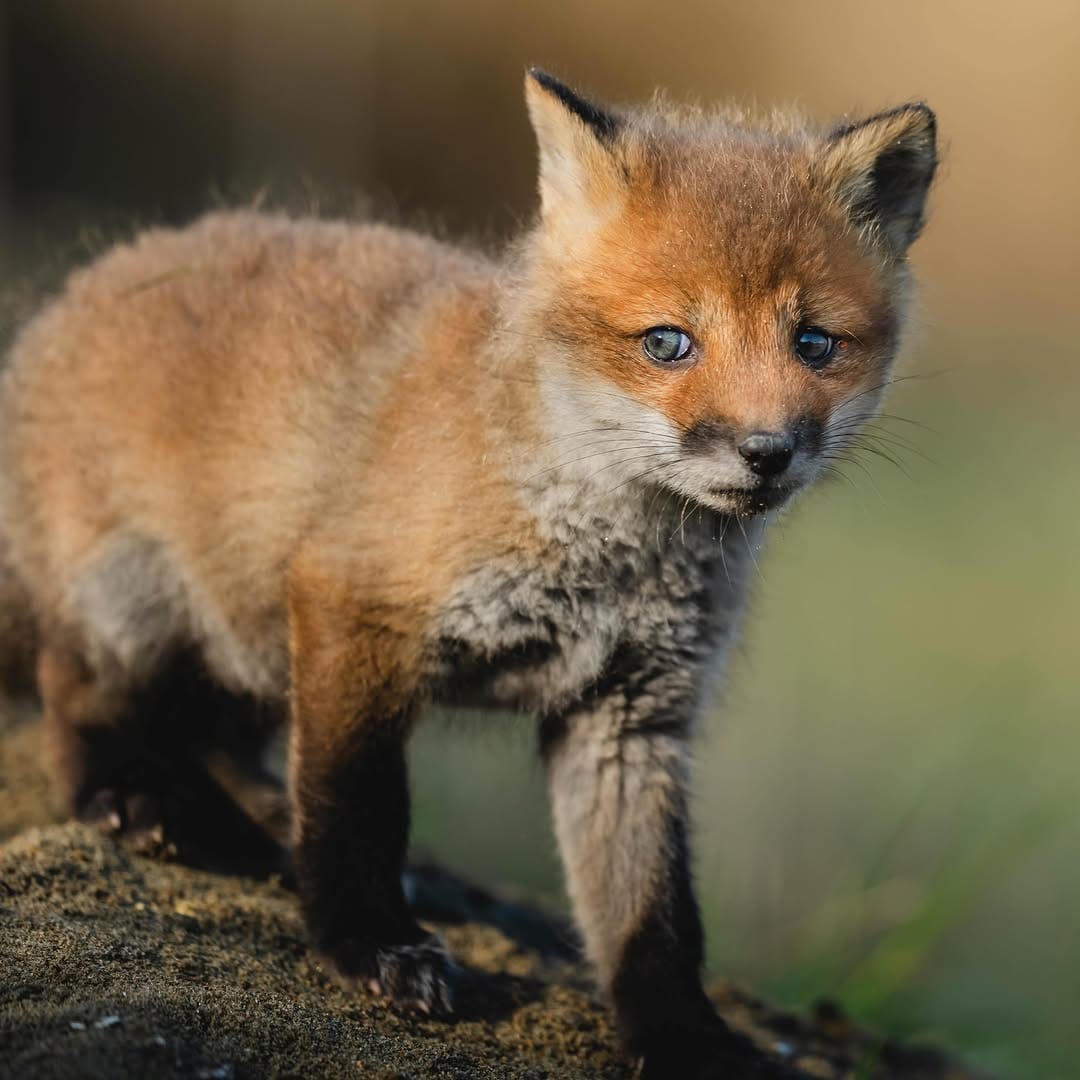Post 4 by Hiroki INOUE on Instagram (image)