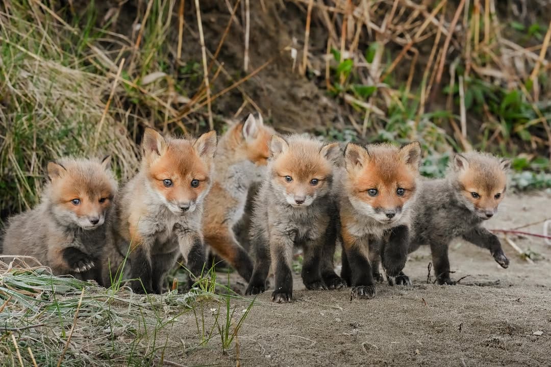 Post 5 by Hiroki INOUE on Instagram (image)