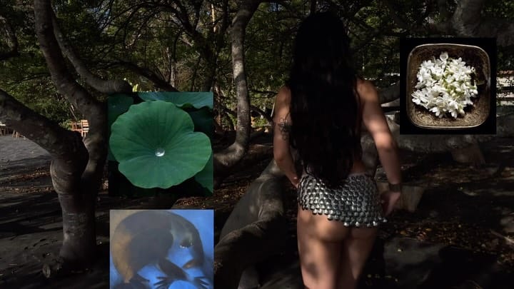 Post 1 by Jovanna Kay on Instagram (video)
