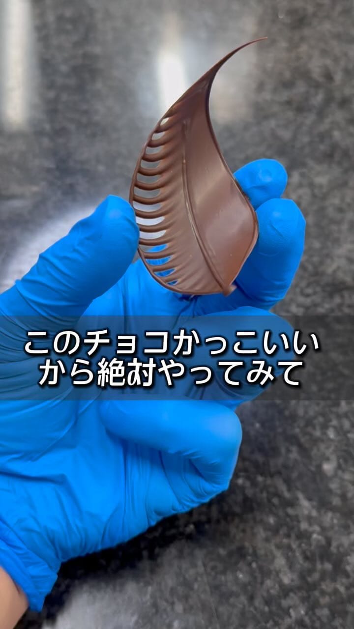 Post 9 by 佐藤晶 on Instagram (video)