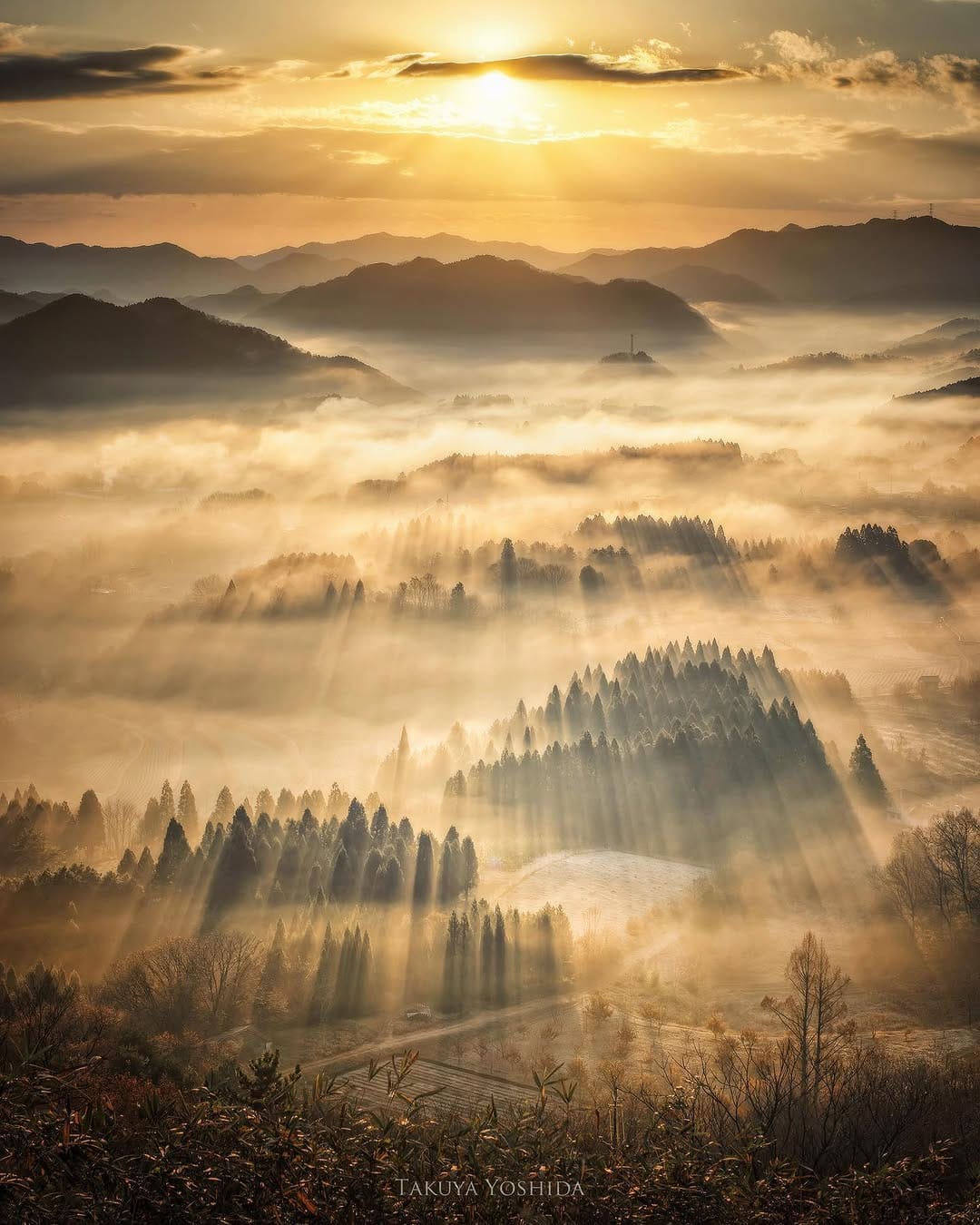 Post 9 by 吉田 卓也 / Takuya Yoshida on Instagram (image)