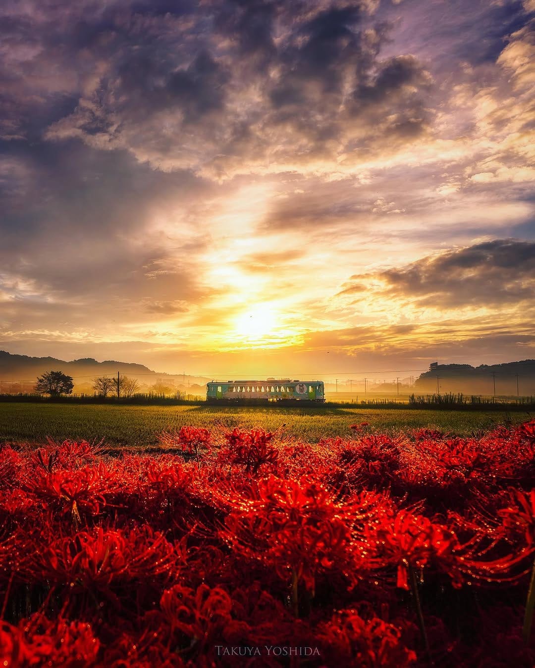Post 10 by 吉田 卓也 / Takuya Yoshida on Instagram (image)